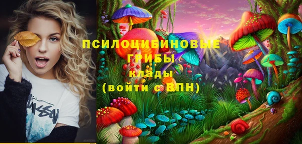 2c-b Алзамай