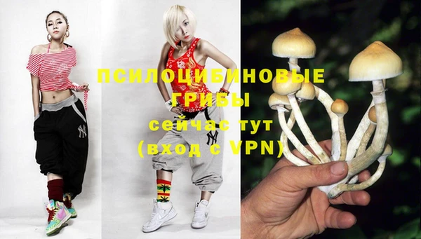 гидра Алексеевка